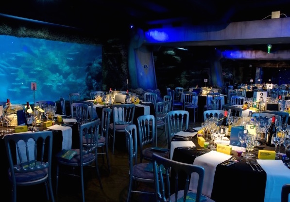 London Aquarium Christmas Party Venue SE1, stunning 3 course dinner set up, views of sea life