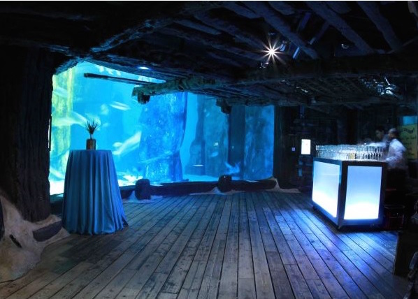 London Aquarium Christmas Party Venue SE1, reception area with poser tables and bar