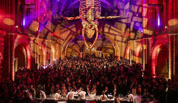 Natural History Museum Christmas Party