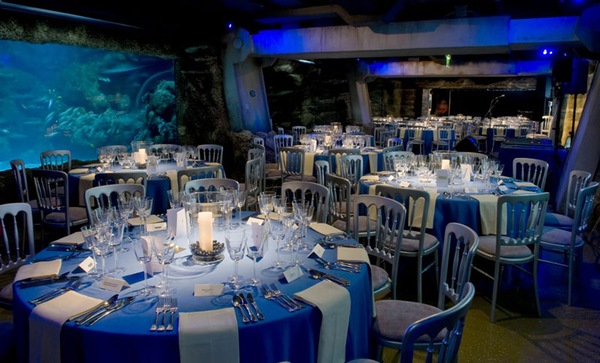 London Aquarium Christmas Party Venue SE1, round tables set for dinner, views of the sea life