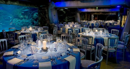 Atlantic Cove set for a dinner with round tables with an underwater theme London Aquarium Venue Hire SE1